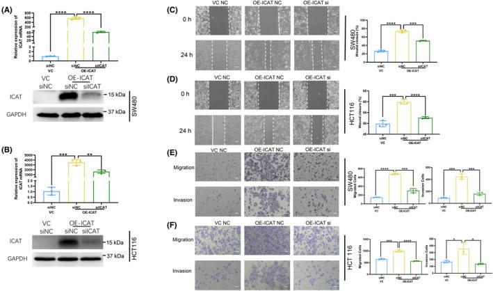 https://cdn.ncbi.nlm.nih.gov/pmc/blobs/b03b/9551128/48299a3787f7/JCLA-36-e24678-g007.jpg