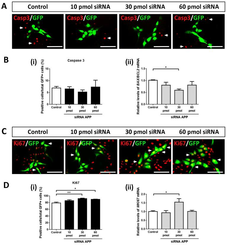 https://cdn.ncbi.nlm.nih.gov/pmc/blobs/b03c/10572469/c548edf417d7/ijms-24-14635-g002.jpg