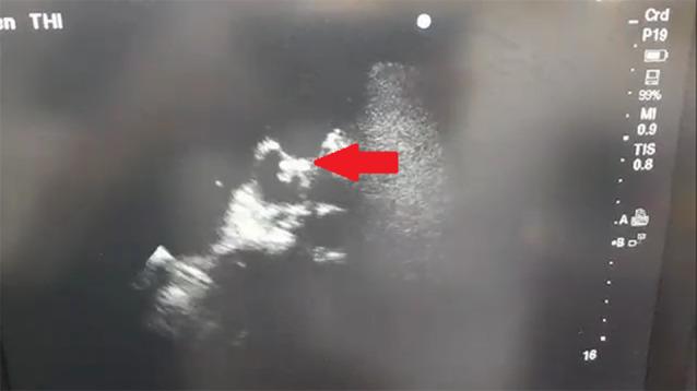 https://cdn.ncbi.nlm.nih.gov/pmc/blobs/b03d/12093851/a879ec9563ff/13019_2025_3463_Fig3_HTML.jpg
