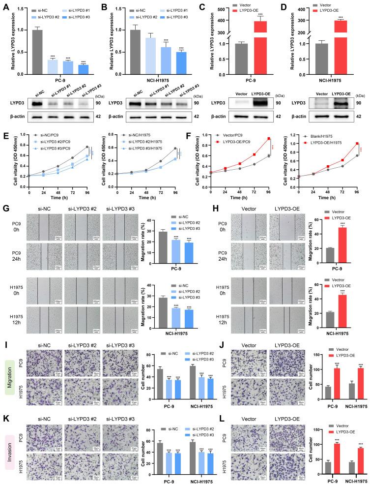 https://cdn.ncbi.nlm.nih.gov/pmc/blobs/b03e/11898844/522f42aee0a5/ijmsv22p1375g008.jpg