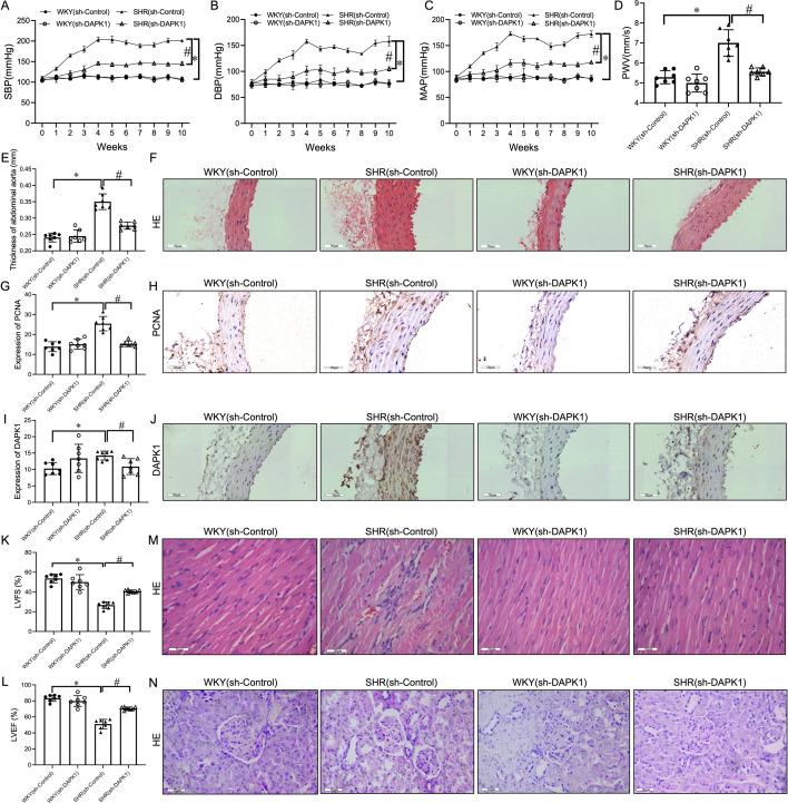 https://cdn.ncbi.nlm.nih.gov/pmc/blobs/b03e/12238816/028084c65e3b/cs-139-12-CS20255840.01.jpg