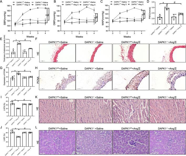 https://cdn.ncbi.nlm.nih.gov/pmc/blobs/b03e/12238816/436ebcda63c2/cs-139-12-CS20255840.02.jpg