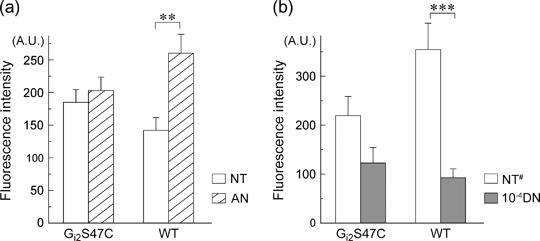 https://cdn.ncbi.nlm.nih.gov/pmc/blobs/b03f/2667311/38e7c957f48d/gbb0007-0924-f5.jpg