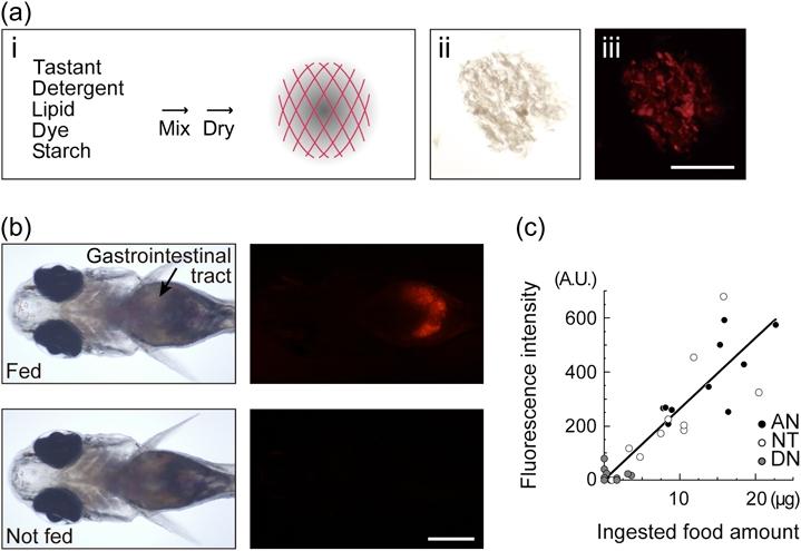 https://cdn.ncbi.nlm.nih.gov/pmc/blobs/b03f/2667311/e6ca8a0de753/gbb0007-0924-f2.jpg