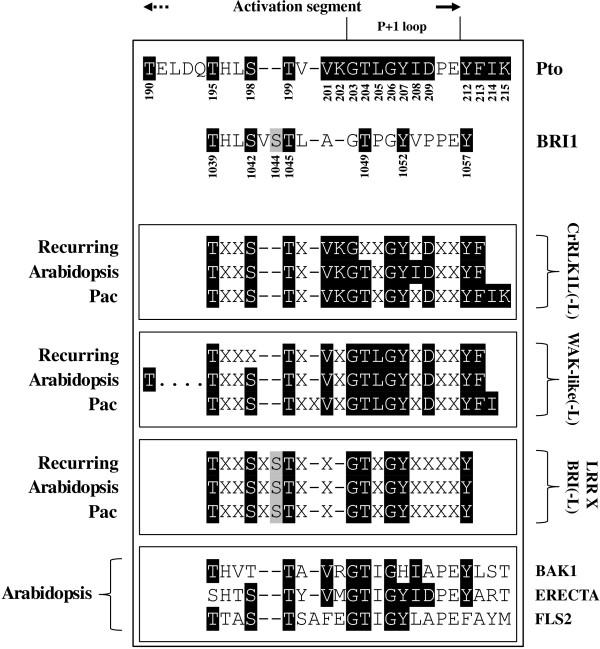 https://cdn.ncbi.nlm.nih.gov/pmc/blobs/b03f/4295470/a962f922cea5/13104_2014_3456_Fig6_HTML.jpg