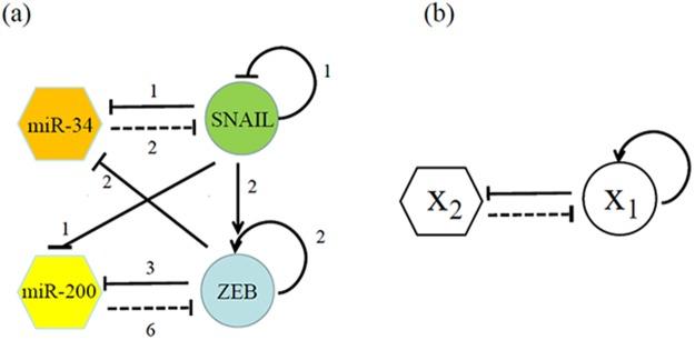 https://cdn.ncbi.nlm.nih.gov/pmc/blobs/b041/6156327/b913213b0d21/41598_2018_32737_Fig1_HTML.jpg