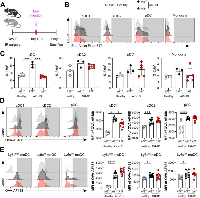 https://cdn.ncbi.nlm.nih.gov/pmc/blobs/b042/11153194/717723b99cd8/gr7.jpg
