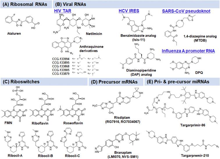 https://cdn.ncbi.nlm.nih.gov/pmc/blobs/b042/7495341/c76112091809/pr.120.019554f6.jpg