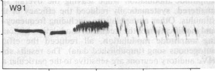 https://cdn.ncbi.nlm.nih.gov/pmc/blobs/b044/390681/56610dacd72f/pnas00357-0429-h.jpg