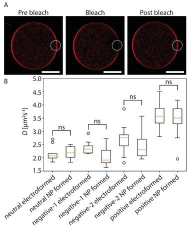 https://cdn.ncbi.nlm.nih.gov/pmc/blobs/b045/10700689/c9f040c73786/ADVS-10-2302461-g007.jpg