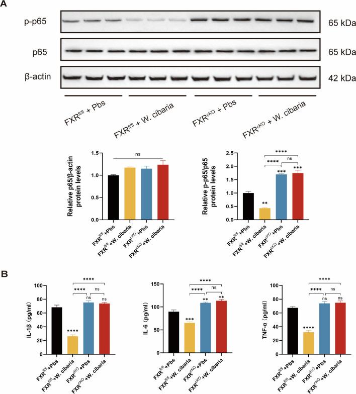 https://cdn.ncbi.nlm.nih.gov/pmc/blobs/b045/12282153/15d11a83eb19/msystems.00288-25.f008.jpg