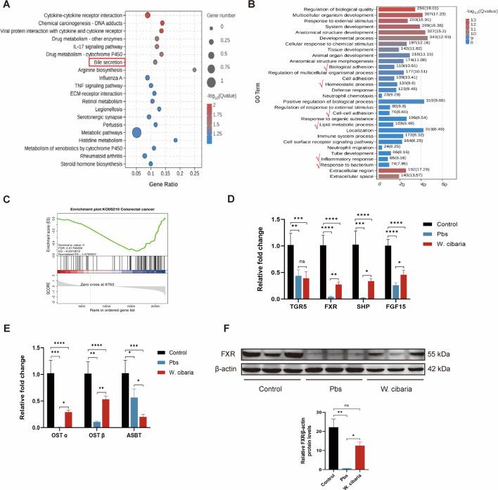 https://cdn.ncbi.nlm.nih.gov/pmc/blobs/b045/12282153/6d577cc1a4d2/msystems.00288-25.f003.jpg