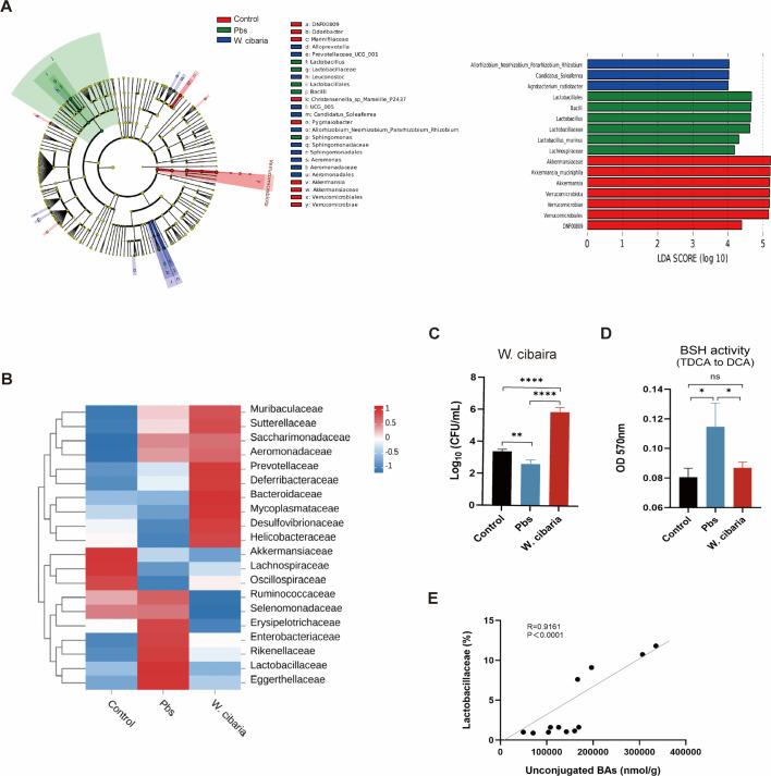 https://cdn.ncbi.nlm.nih.gov/pmc/blobs/b045/12282153/70cb372f96a5/msystems.00288-25.f006.jpg