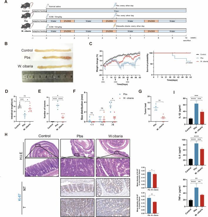https://cdn.ncbi.nlm.nih.gov/pmc/blobs/b045/12282153/8841948f74f5/msystems.00288-25.f001.jpg