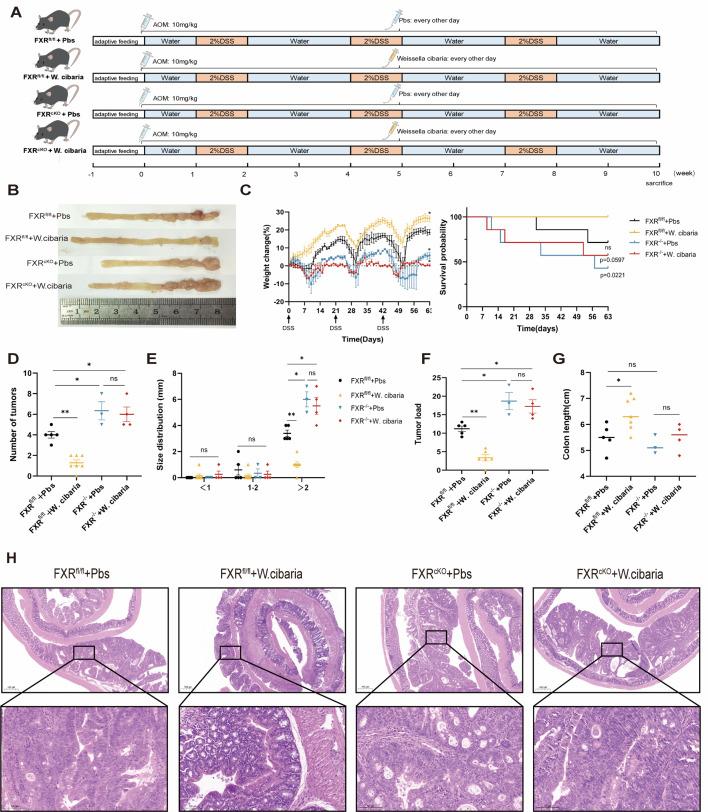 https://cdn.ncbi.nlm.nih.gov/pmc/blobs/b045/12282153/a55499dd0efd/msystems.00288-25.f007.jpg