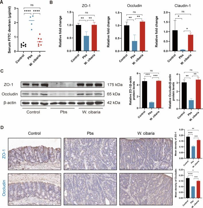 https://cdn.ncbi.nlm.nih.gov/pmc/blobs/b045/12282153/eed7588424fc/msystems.00288-25.f002.jpg