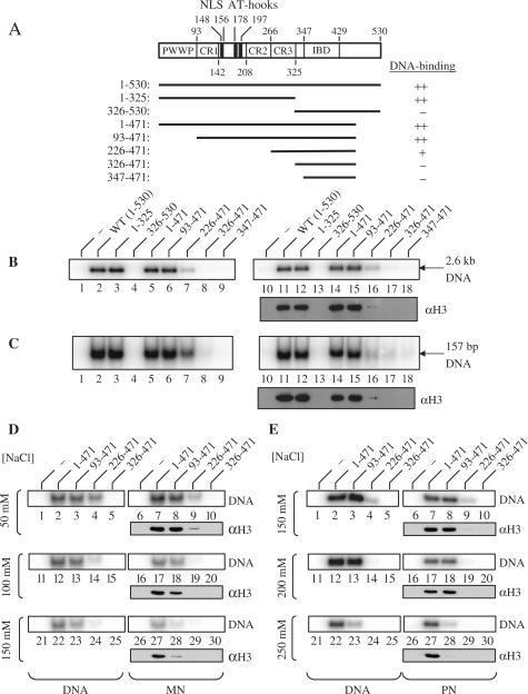 https://cdn.ncbi.nlm.nih.gov/pmc/blobs/b048/2275106/96559ea81eb2/gkm1127f4a.jpg