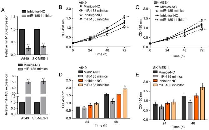 https://cdn.ncbi.nlm.nih.gov/pmc/blobs/b04a/5780119/6b856561ccc2/MMR-17-01-1742-g02.jpg