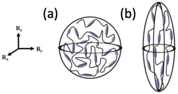 https://cdn.ncbi.nlm.nih.gov/pmc/blobs/b04b/10142630/1e8913c8c48e/polymers-15-01904-g001.jpg