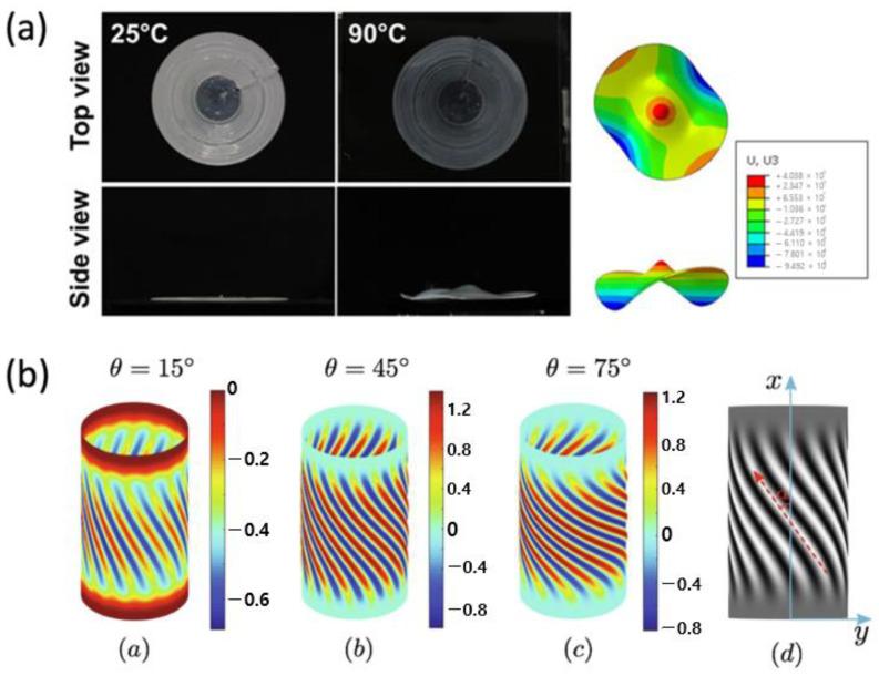 https://cdn.ncbi.nlm.nih.gov/pmc/blobs/b04b/10142630/8ab44a6b291a/polymers-15-01904-g012.jpg
