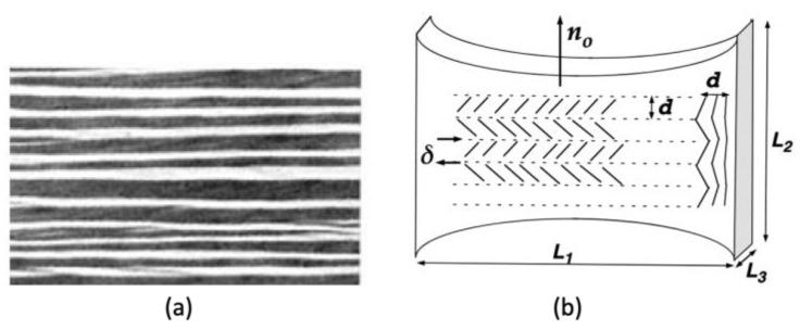 https://cdn.ncbi.nlm.nih.gov/pmc/blobs/b04b/10142630/f2f1bd513aac/polymers-15-01904-g003.jpg