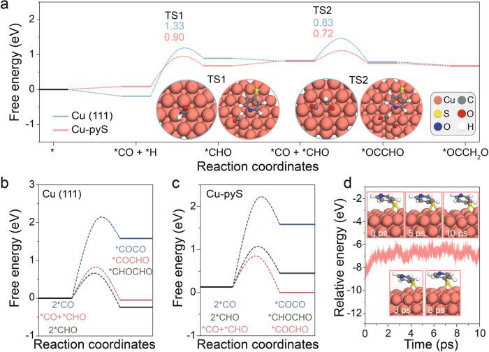 https://cdn.ncbi.nlm.nih.gov/pmc/blobs/b04c/11059391/a864763a2014/41467_2024_47913_Fig5_HTML.jpg