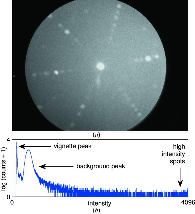 https://cdn.ncbi.nlm.nih.gov/pmc/blobs/b04c/4520294/238fca123cc5/j-48-01342-fig3.jpg