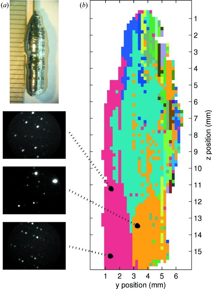 https://cdn.ncbi.nlm.nih.gov/pmc/blobs/b04c/4520294/3a732ab7e23d/j-48-01342-fig5.jpg