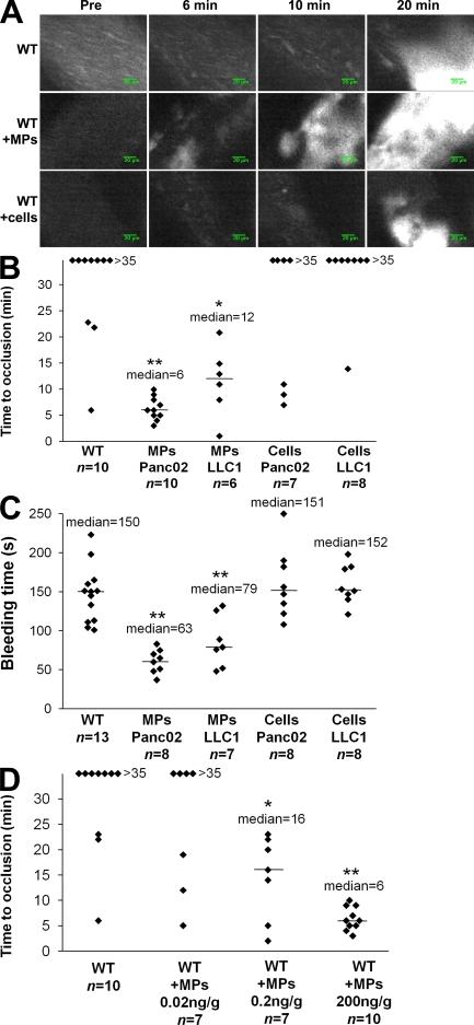 https://cdn.ncbi.nlm.nih.gov/pmc/blobs/b04d/2737159/f363e771e8e5/JEM_20082297_RGB_Fig3.jpg