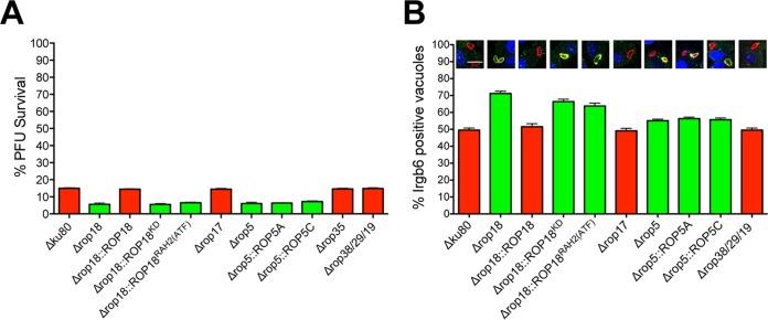 https://cdn.ncbi.nlm.nih.gov/pmc/blobs/b04d/4959664/670c81dee625/mbo0021628110005.jpg