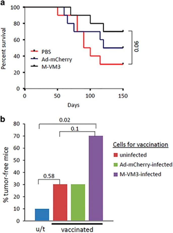 https://cdn.ncbi.nlm.nih.gov/pmc/blobs/b04d/5799711/03e0f2700145/onc2017346f6.jpg