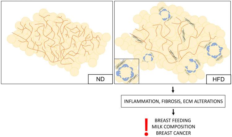 https://cdn.ncbi.nlm.nih.gov/pmc/blobs/b04d/8087566/a61dc97e9d76/11154_2021_9633_Fig6_HTML.jpg
