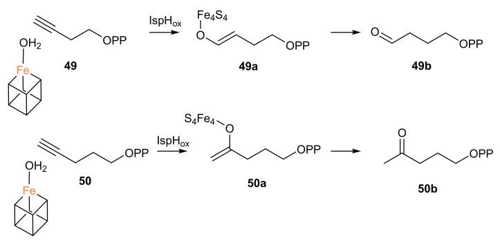 https://cdn.ncbi.nlm.nih.gov/pmc/blobs/b04e/8837944/16a33b723387/molecules-27-00708-sch005.jpg