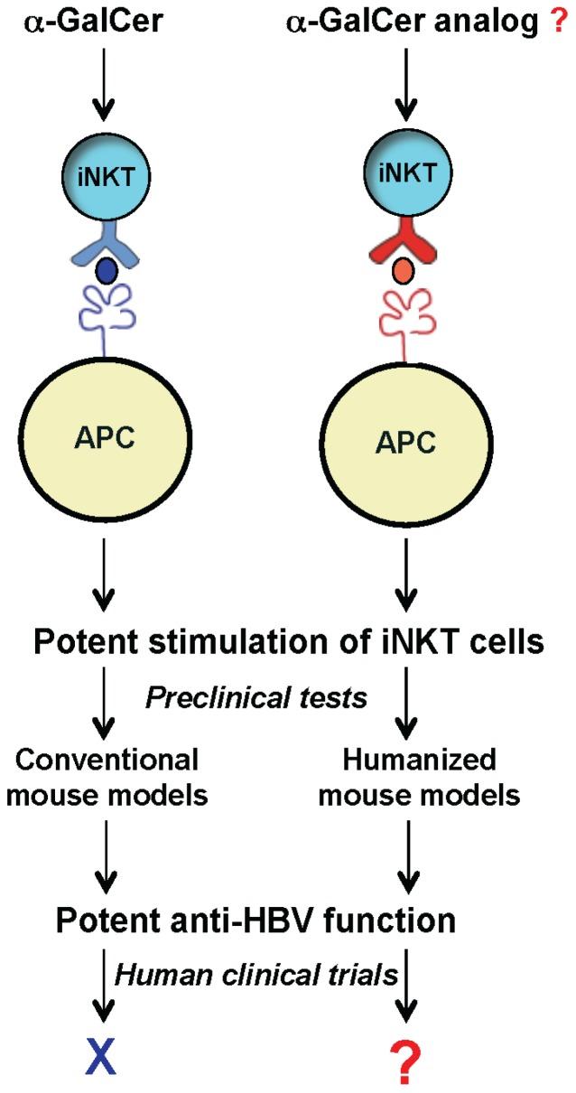 https://cdn.ncbi.nlm.nih.gov/pmc/blobs/b04f/4243429/5039dcd5e159/pathogens-03-00563-g002.jpg
