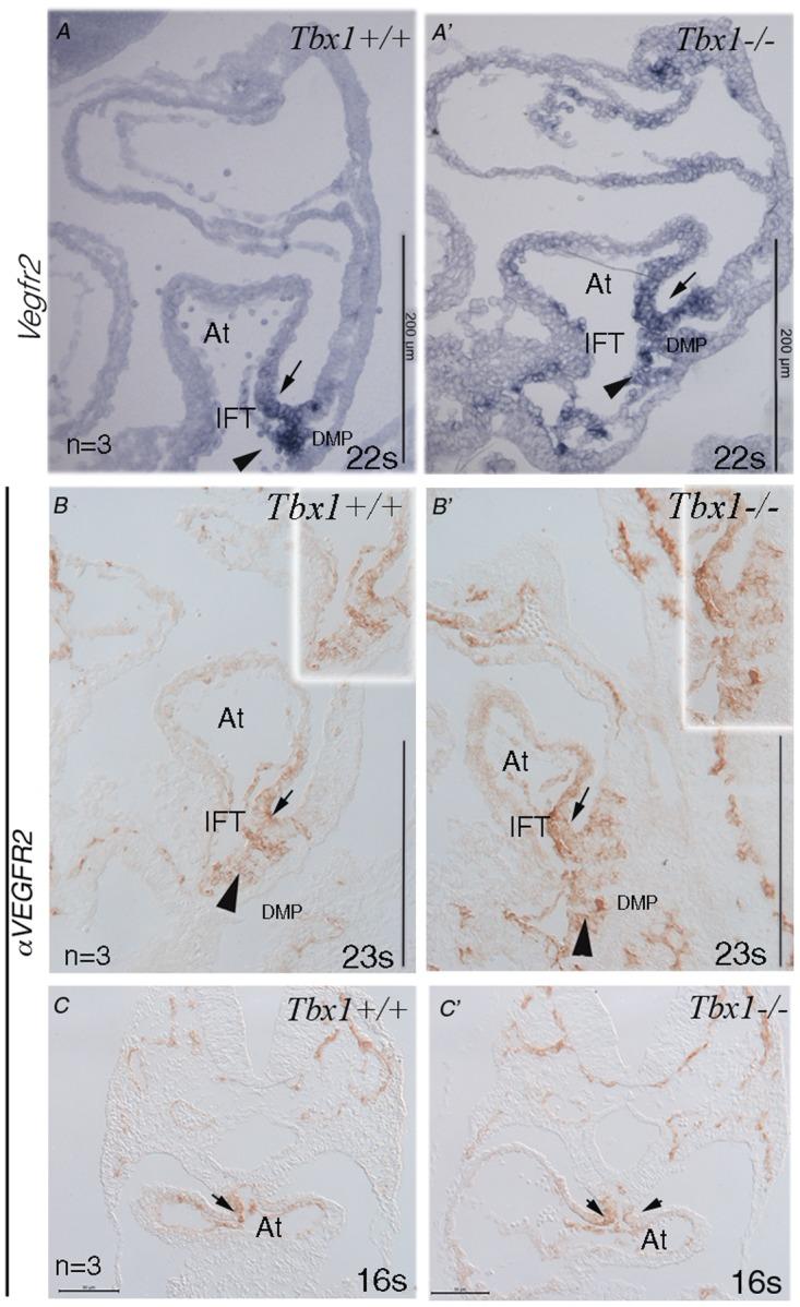 https://cdn.ncbi.nlm.nih.gov/pmc/blobs/b04f/4575176/f35becec399f/pone.0138525.g006.jpg