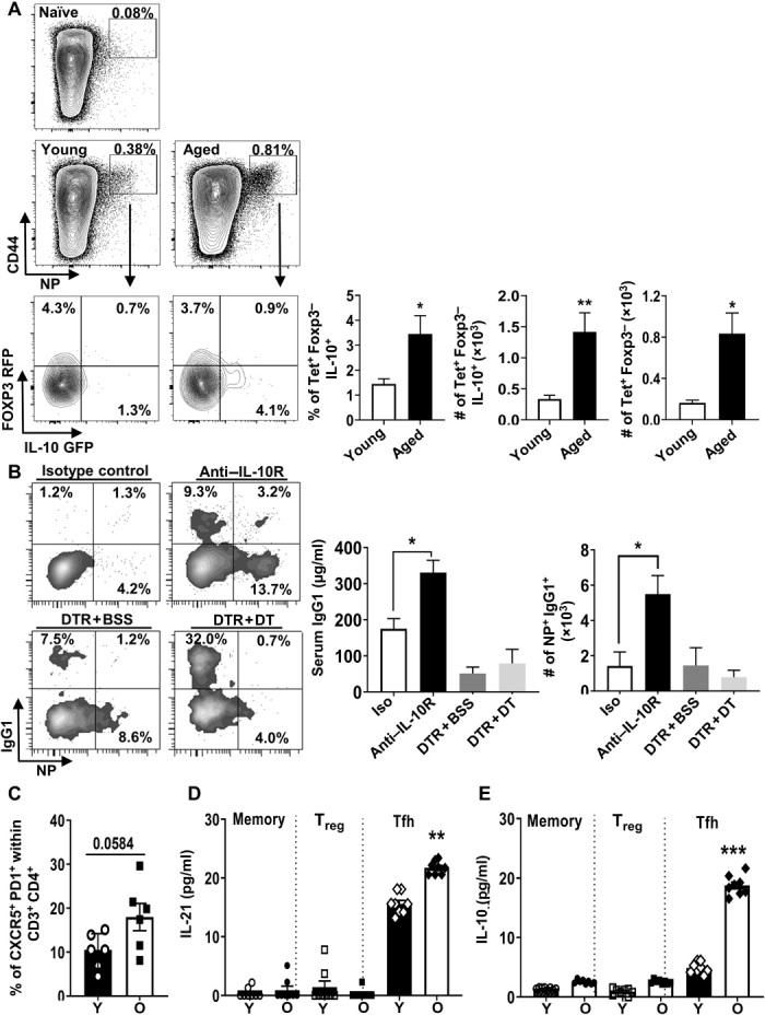 https://cdn.ncbi.nlm.nih.gov/pmc/blobs/b04f/7439492/34469cc41b66/abb0806-F6.jpg