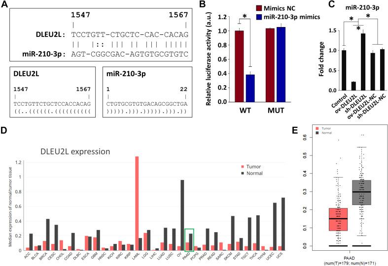 https://cdn.ncbi.nlm.nih.gov/pmc/blobs/b054/8100451/8a26dfbd68e2/fmolb-08-645365-g001.jpg