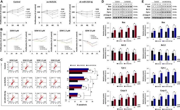 https://cdn.ncbi.nlm.nih.gov/pmc/blobs/b054/8100451/9eade9fbc064/fmolb-08-645365-g003.jpg