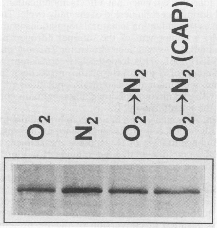 https://cdn.ncbi.nlm.nih.gov/pmc/blobs/b055/202172/288d00639890/aem00032-0027-a.jpg