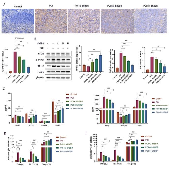 https://cdn.ncbi.nlm.nih.gov/pmc/blobs/b056/11523677/1c5806339ab8/10020_2024_971_Fig2_HTML.jpg