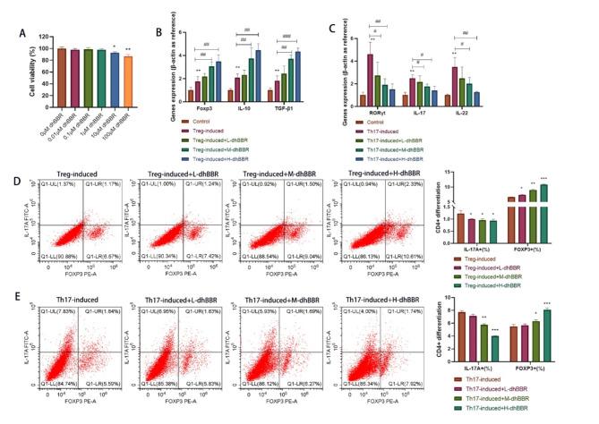 https://cdn.ncbi.nlm.nih.gov/pmc/blobs/b056/11523677/a369663c1685/10020_2024_971_Fig4_HTML.jpg