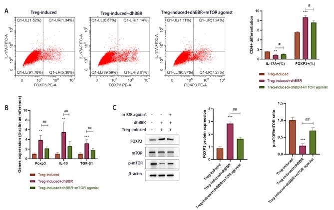 https://cdn.ncbi.nlm.nih.gov/pmc/blobs/b056/11523677/a52acc4897e4/10020_2024_971_Fig7_HTML.jpg