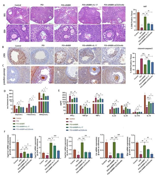 https://cdn.ncbi.nlm.nih.gov/pmc/blobs/b056/11523677/c7e22ebcaf47/10020_2024_971_Fig3_HTML.jpg