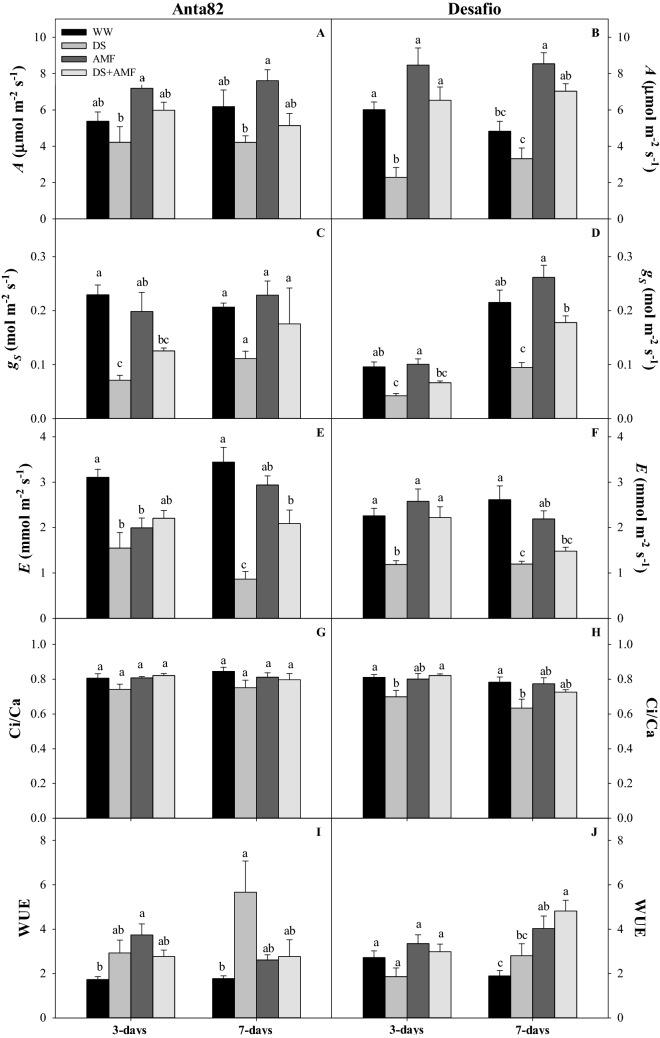 https://cdn.ncbi.nlm.nih.gov/pmc/blobs/b05b/9156723/a6819cccf50b/41598_2022_13059_Fig4_HTML.jpg