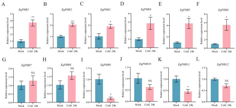 https://cdn.ncbi.nlm.nih.gov/pmc/blobs/b05d/11988722/2b48fecb318c/ijms-26-02958-g008.jpg