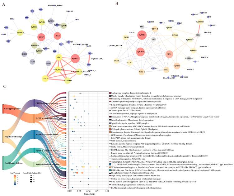 https://cdn.ncbi.nlm.nih.gov/pmc/blobs/b05d/11988722/6288746c1216/ijms-26-02958-g005.jpg