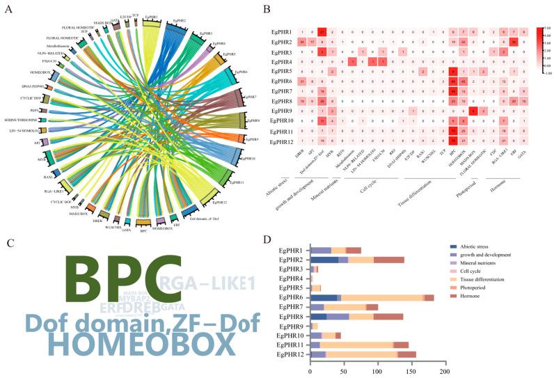 https://cdn.ncbi.nlm.nih.gov/pmc/blobs/b05d/11988722/c655a911d636/ijms-26-02958-g004.jpg
