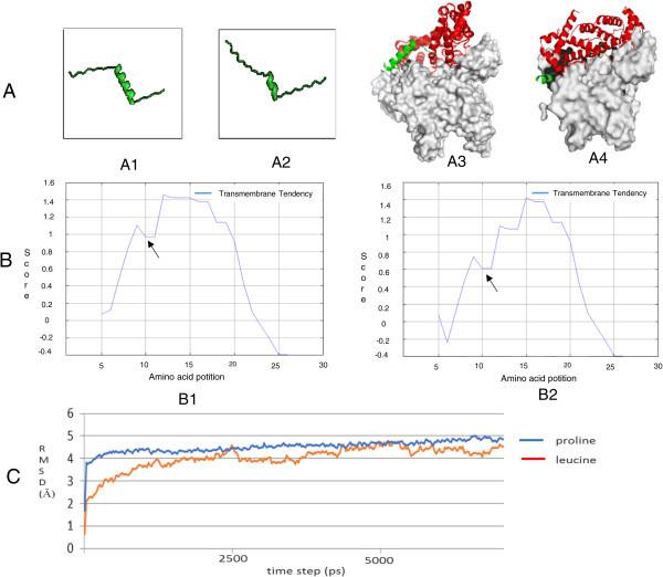 https://cdn.ncbi.nlm.nih.gov/pmc/blobs/b063/4179638/a97bdce54930/40064_2014_1244_Fig2_HTML.jpg