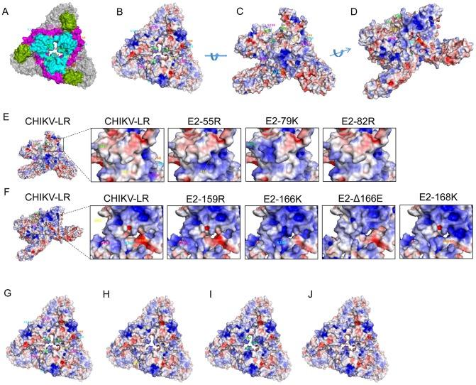 https://cdn.ncbi.nlm.nih.gov/pmc/blobs/b064/3930508/c48a765f8d01/pntd.0002719.g002.jpg