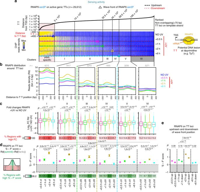 https://cdn.ncbi.nlm.nih.gov/pmc/blobs/b064/5727188/01e3df09bedb/41467_2017_2145_Fig4_HTML.jpg